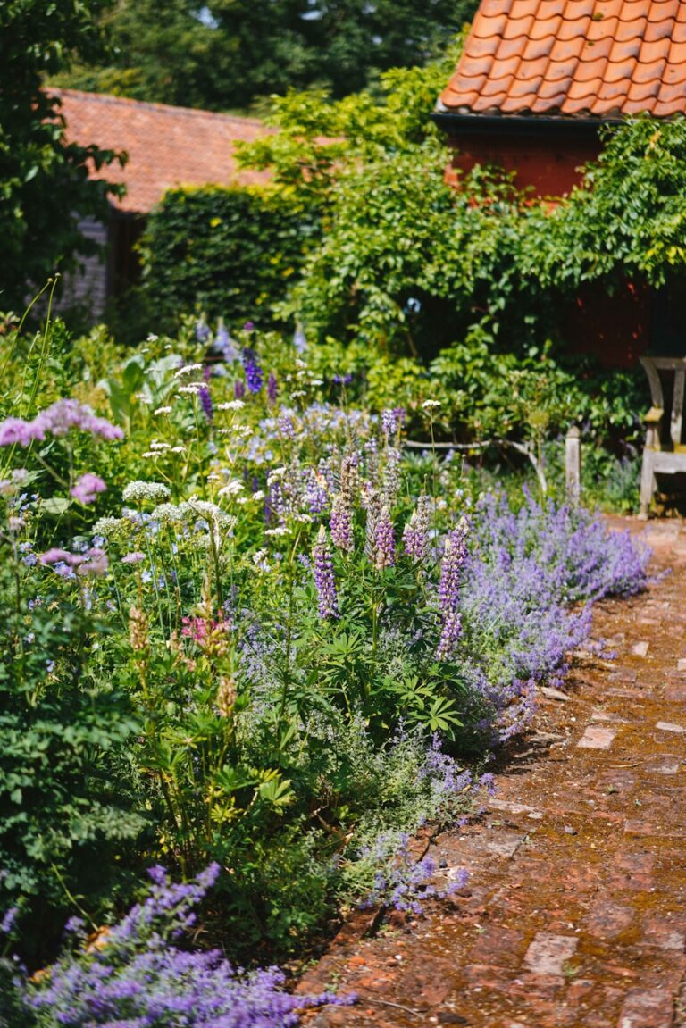 Ogród bez trawnika – jakie alternatywy warto rozważyć? Photo "Garden without a lawn – what alternatives are worth considering?"
