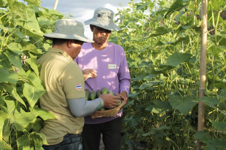 Czy warto korzystać z deszczówki? Systemy gromadzenia i wykorzystania wody Photo Rainwater harvesting